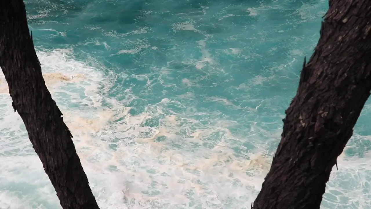 View of the calm ocean seen through two branches