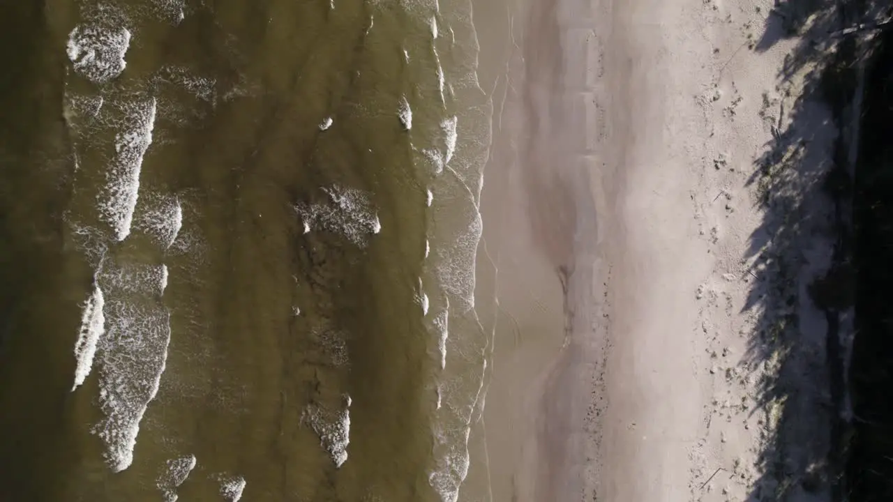 Drone top down trucking pan of ocean waves crashing on sandy beach with tree shadows