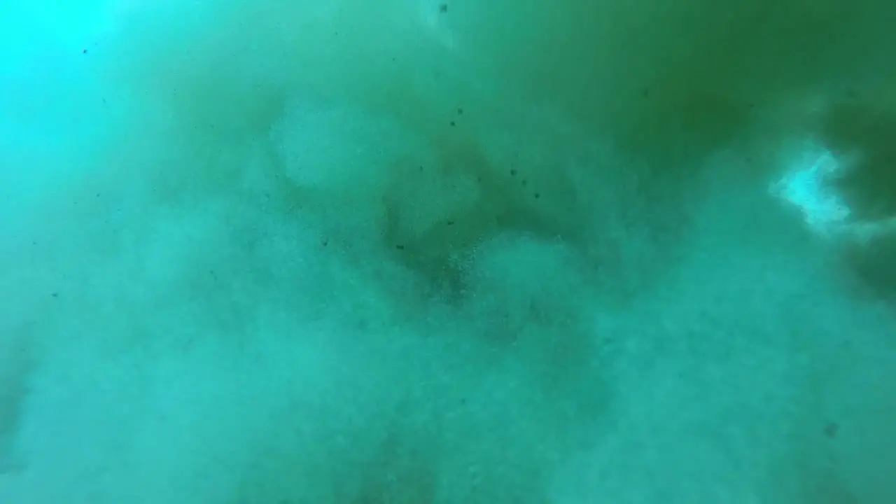 Sand being dumped underwater to create an artificial reef for planting sea grass