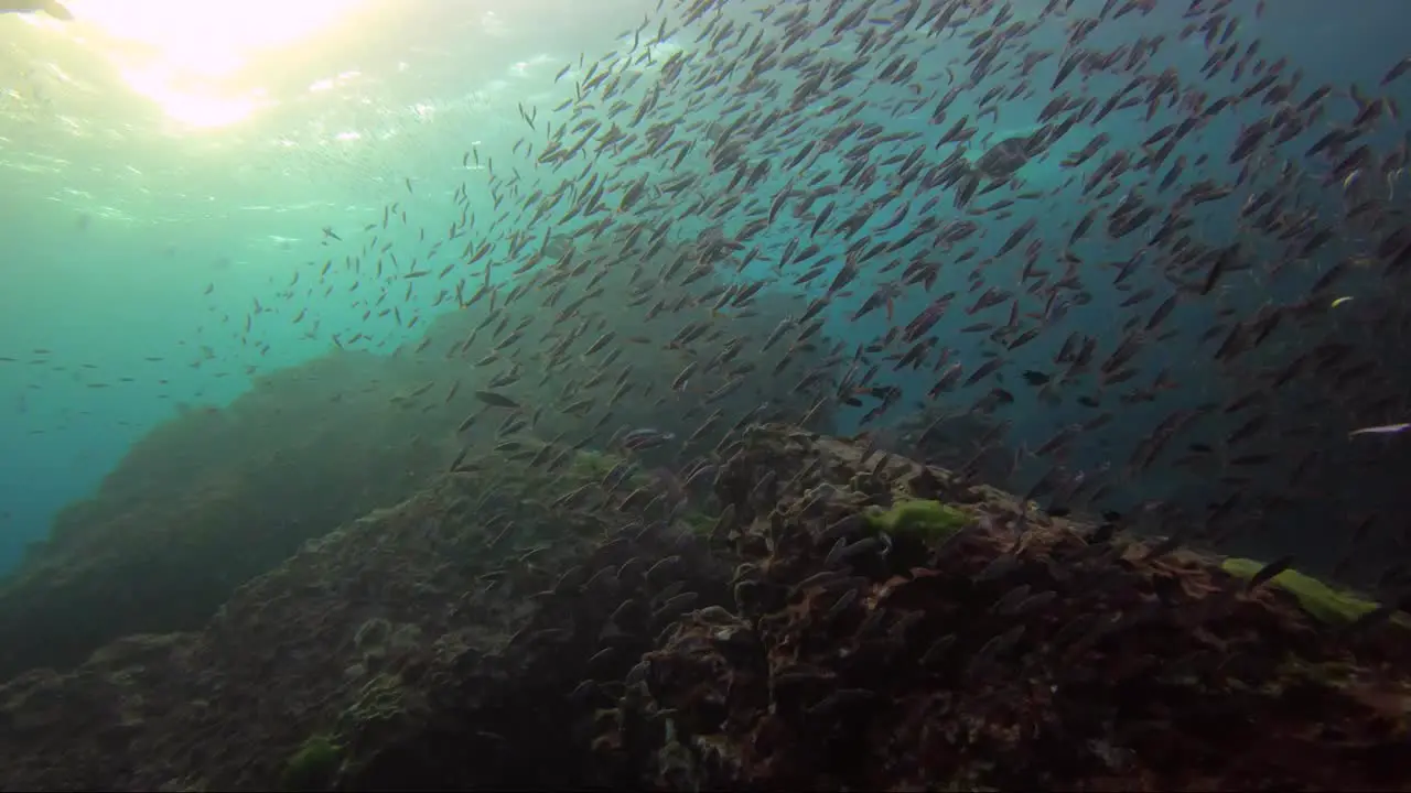 Amazing light on a sunset dive