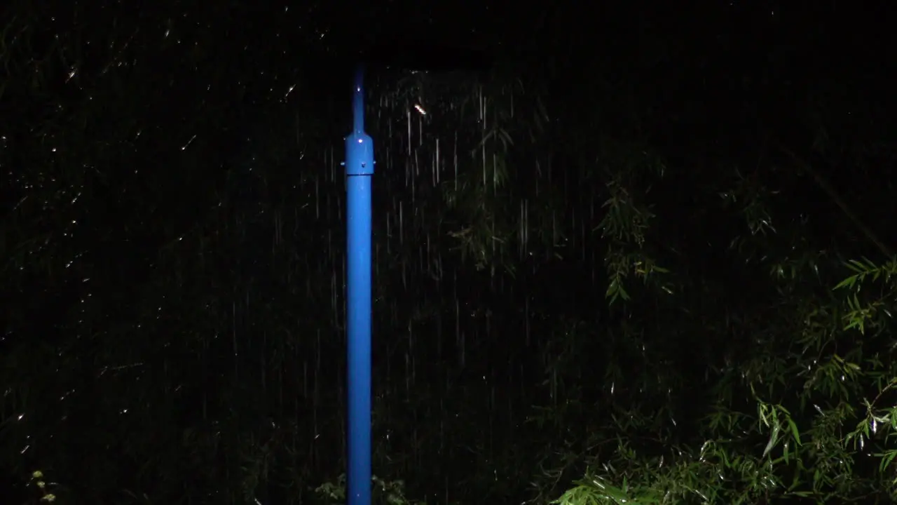 Summertime torrential rain pours down past light cast from a blue lamp post surrounded by green foliage at night as insects dance around the light source