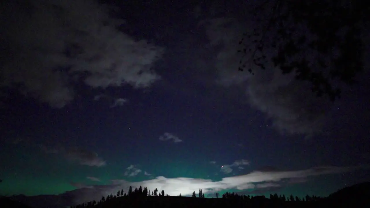 Awe-inspiring aurora over distant trees