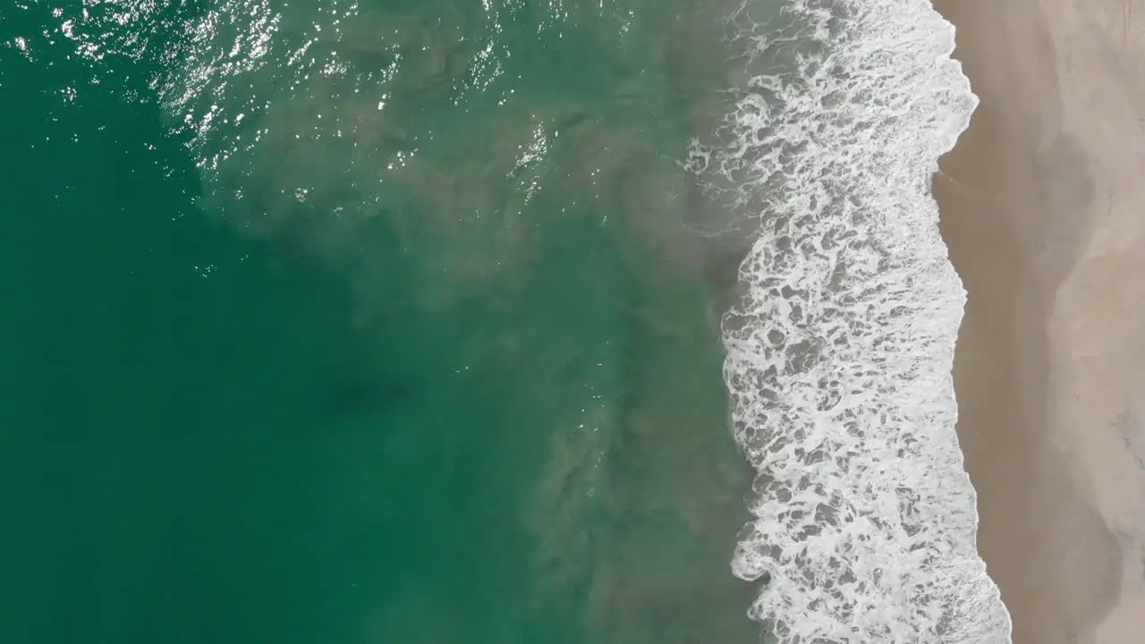 Static aerial top down of crystal clear turquoise water from the ocean and golden beach on summer day