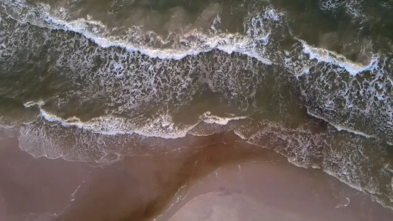 Epic Top Down Aerial Of Waves Crashing With Birds In Massachusetts 4K