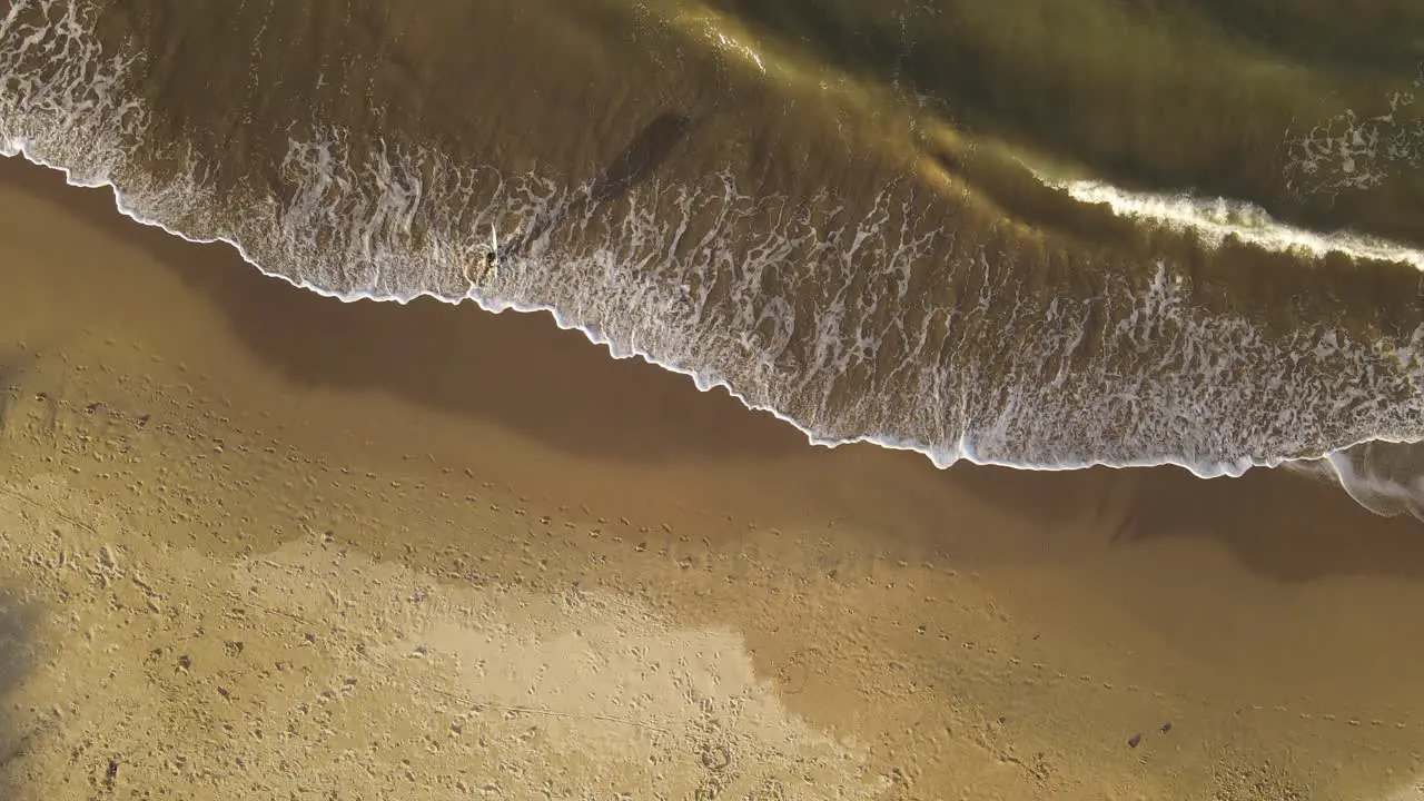 Aerial top view shot of surfer leaving water after surfing in the ocean during golden sunset La Pedrera Beach Uruguay