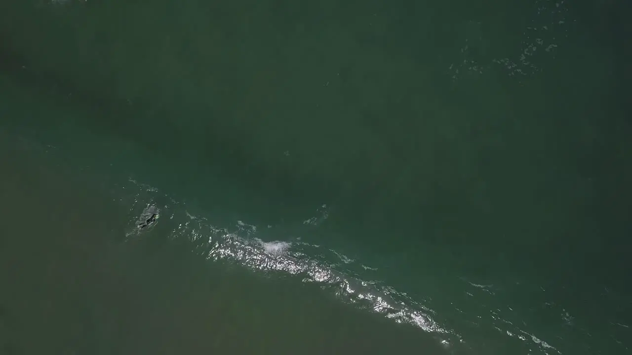 Portugal beach an aerial shot of the Atlantic Ocean