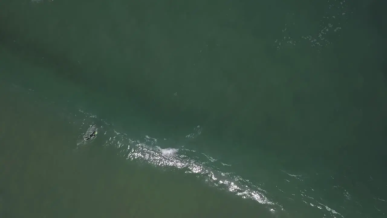 Close up slow motion shot of Handsome guy surfing a green wave in Guincho surf spot