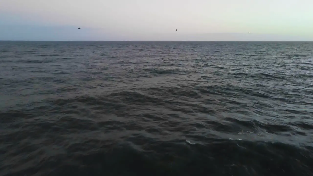 Wide shot of waves rolling in while bird dives into blue beach water at sunset