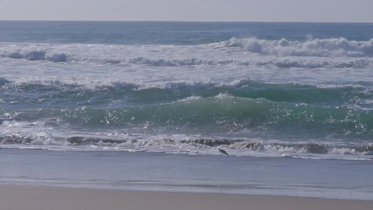 Crashing waves on a sunny day located in Marina State Beach Monterey Bay California