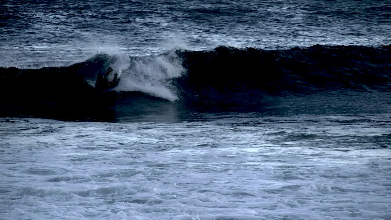 Oahu Sandy Beach Surfers