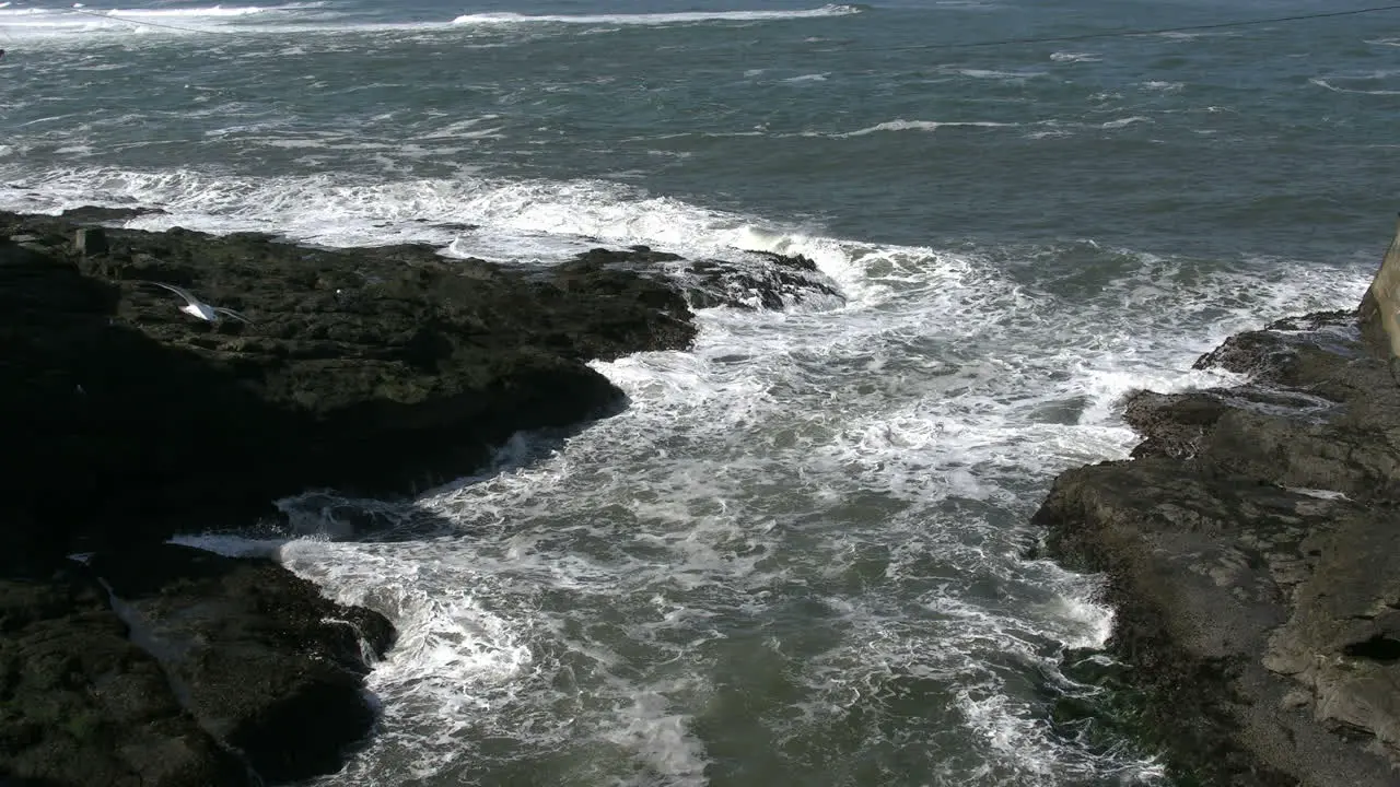 Oregon Harbor Entrance With Bird At Depot Bay