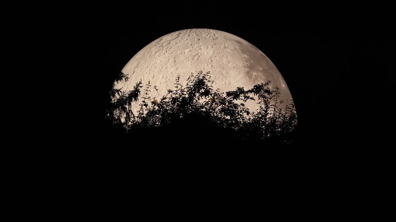 Moon close-up captured with moving tree tops close-up zoom view with all detail on lunar landscape using Lunalon captured in 4k resolution