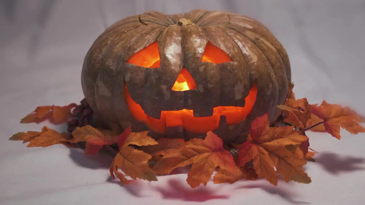 Halloween pumpkin with autumn leaves