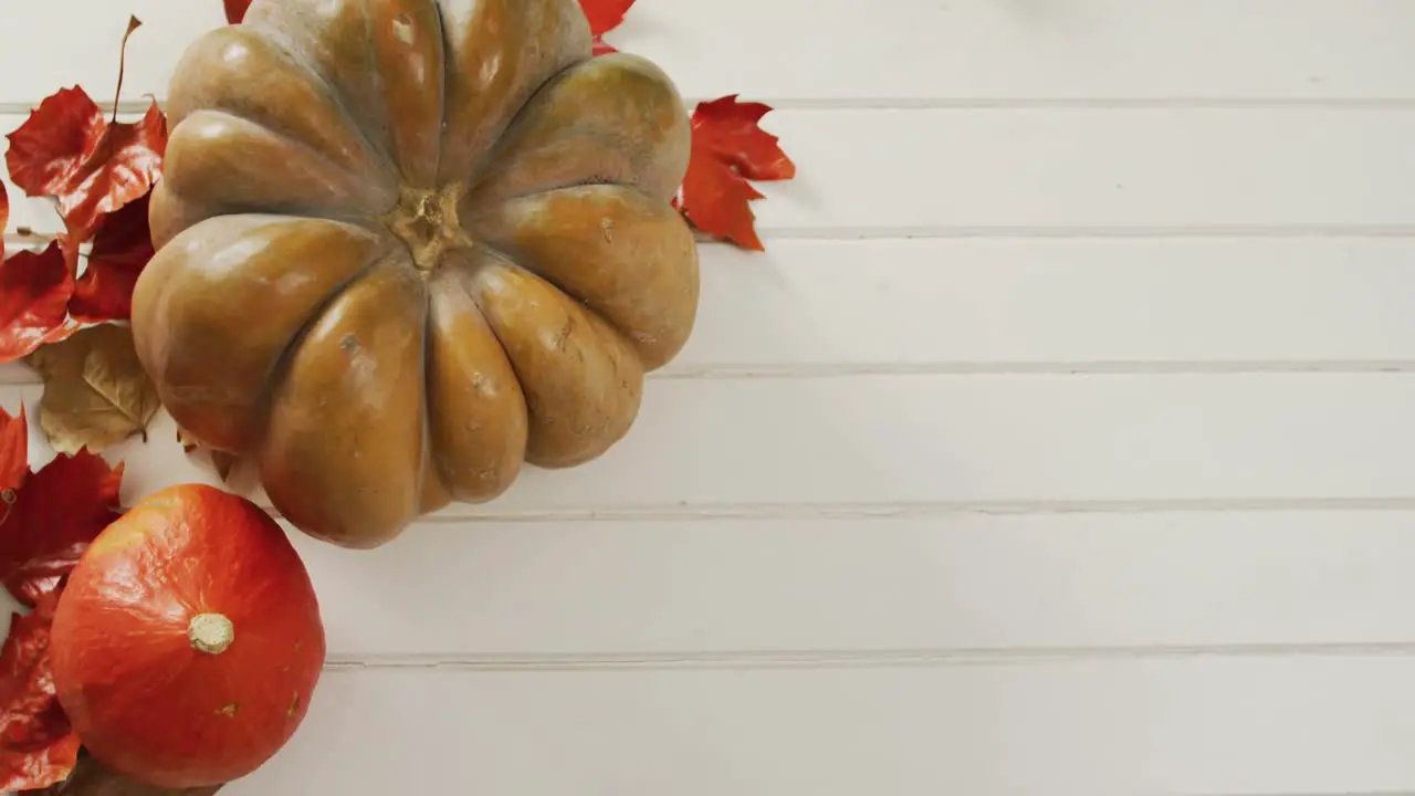 Video of pumpkins with autumn leaves on white background