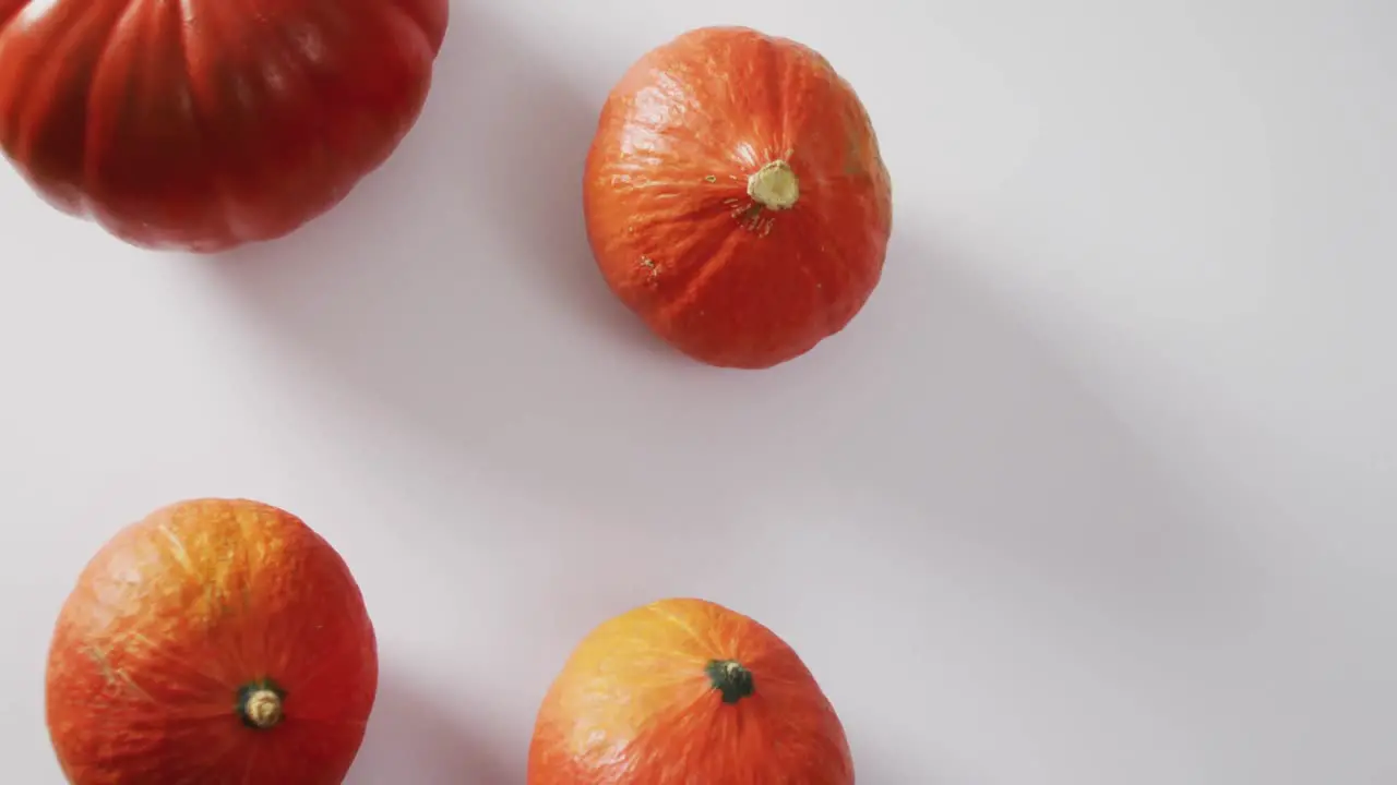 Video of multiple orange pumpkins lying on white background