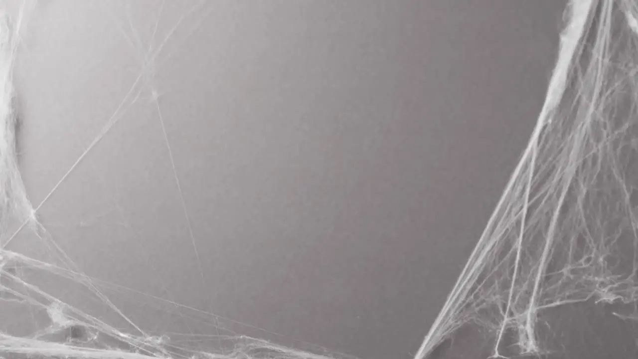 Video of halloween spider's web and copy space on grey background