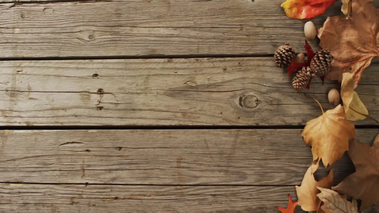 Video of pinecones and autumn leaves on wooden background