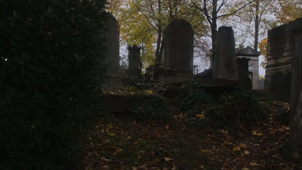 old graveyard during a rainy day