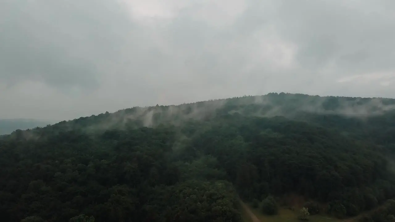 Eerie wisps of fog crawl over the forest canopy deep in the wilderness