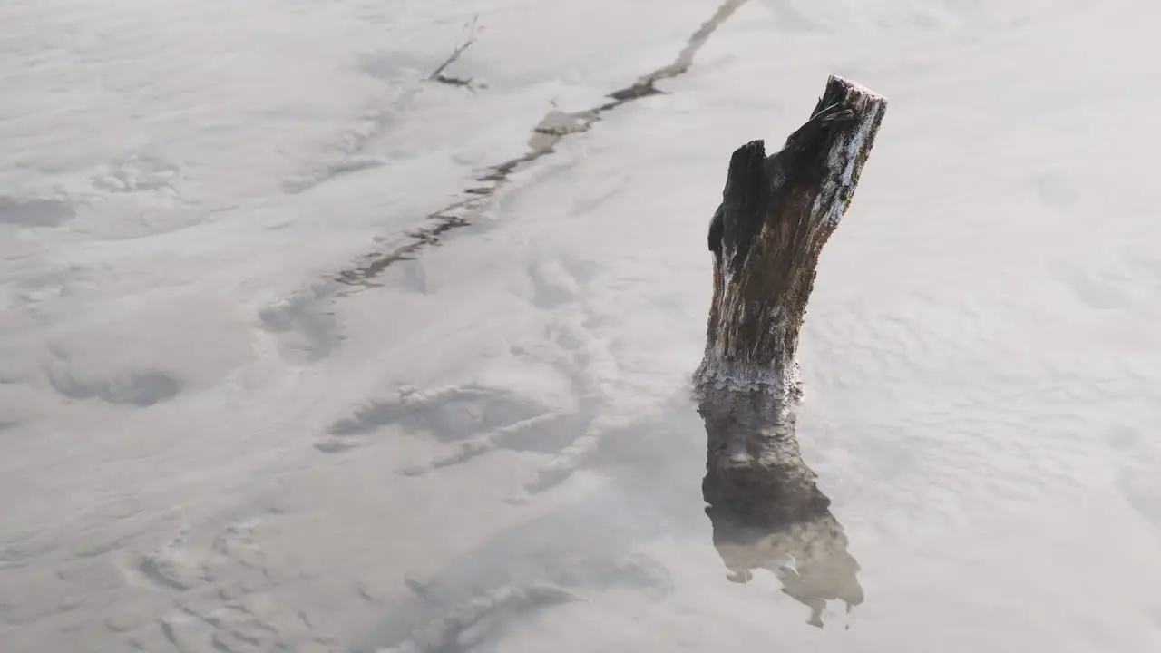 close-up shot of a dead tree stump standing in the middle of a crystal-clear geothermal pool surrounded by steam and mist