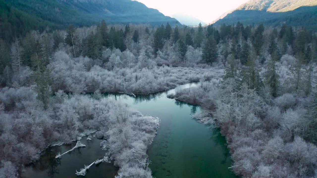 Aerial of Frosty Forest around a River Moving Down