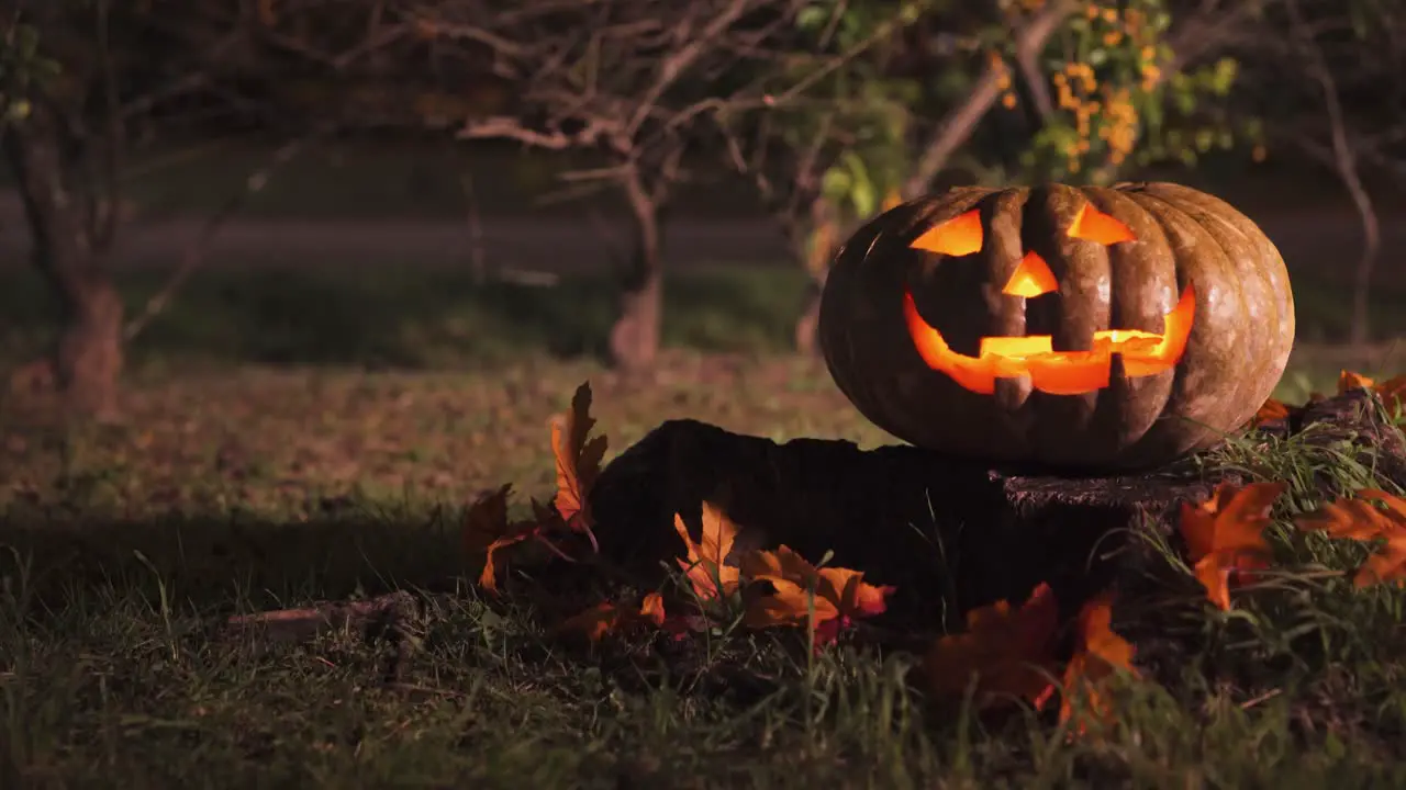 Halloween pumpkin on a tree stump in the night