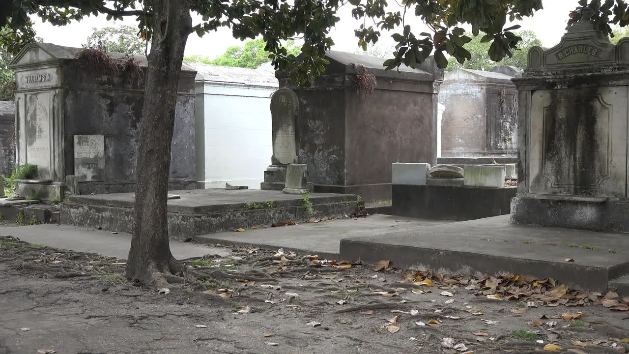 New Orleans cemetery tombs