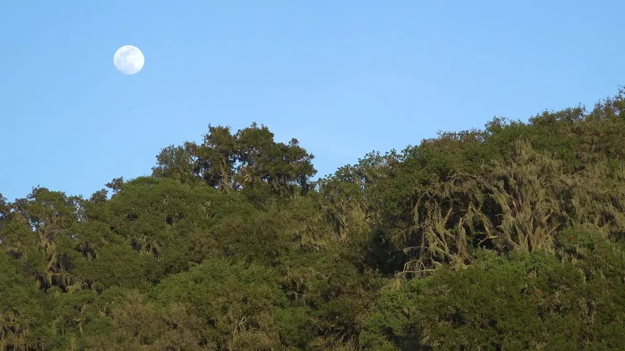 A Full Moon Rises Over A Hillside In Central California In This Beautiful Nature Shot