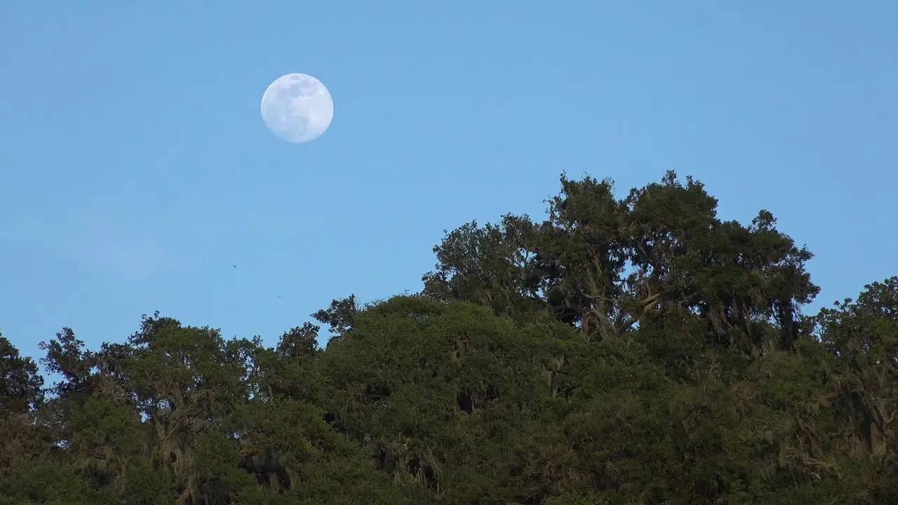 A Full Moon Rises Over A Hillside In Central California In This Beautiful Nature Shot 3