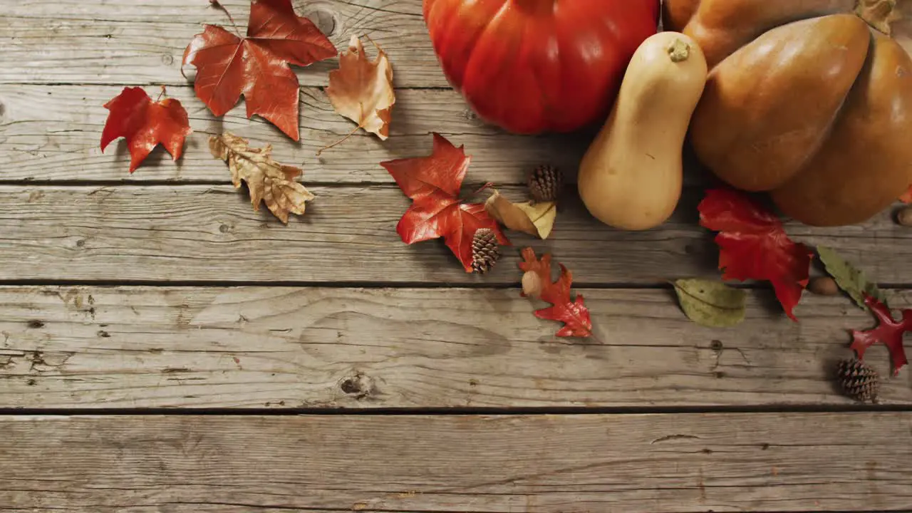 Video of pumpkins with pinecones and autumn leaves on wooden background