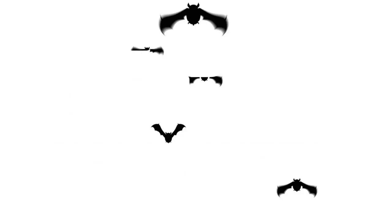 Animation of happy halloween text over bat