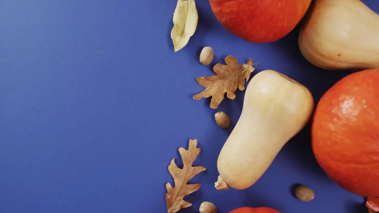 Video of pumpkins with acorns and autumn leaves on blue background