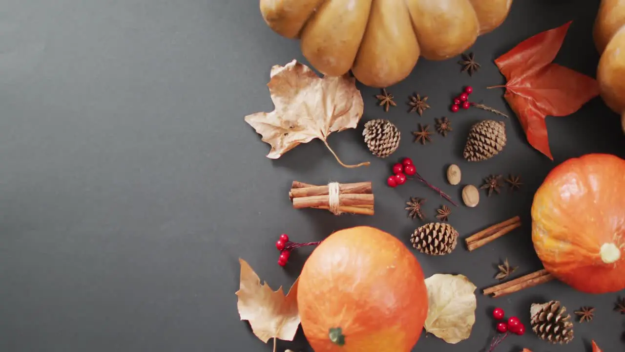 Video of pumpkins with autumn leaves pinecones and spices on black background