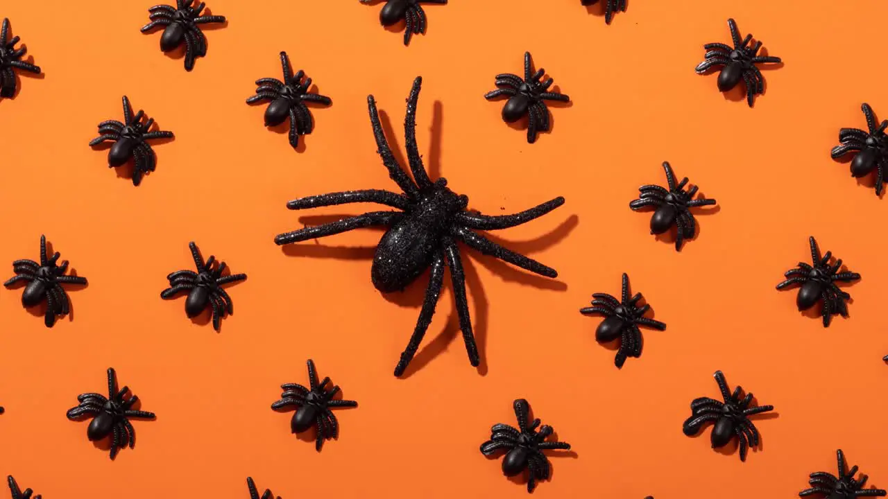 Animation of spiders on orange background