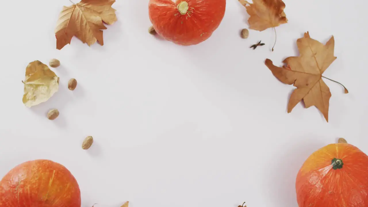 Video of pumpkins with acorns and autumn leaves on white background