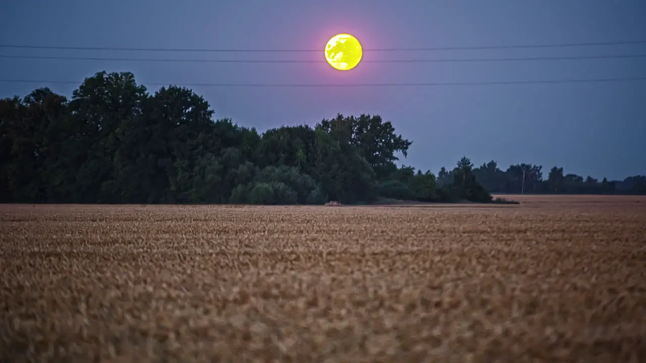 Yellow color full moon flowing across night sky time lapse