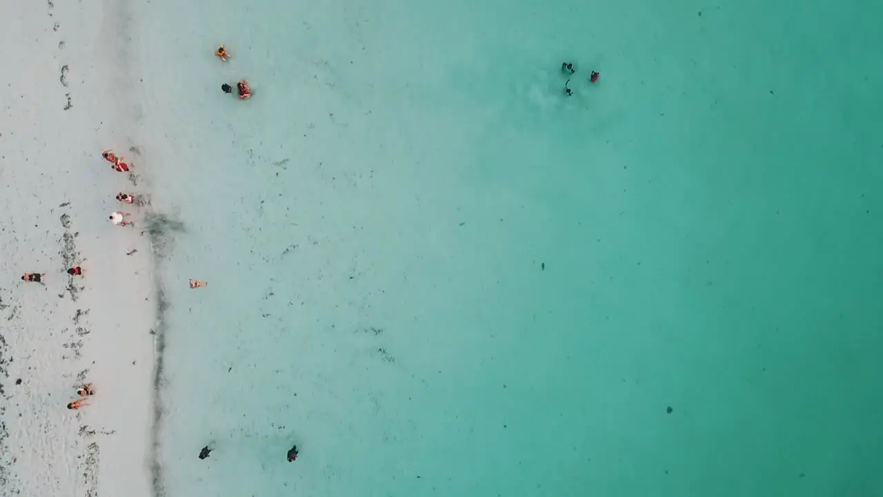 Great bird's eye view top view drone shot of a dream white sand beach and a boat
Paradise film shot on zanzibar at africa tanzania in 2019