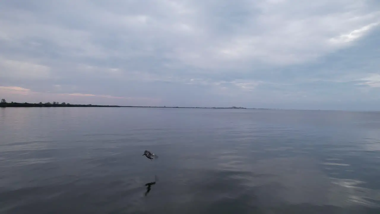 Drone shot flying over coast of Fort Myers and Sanibel island Florida