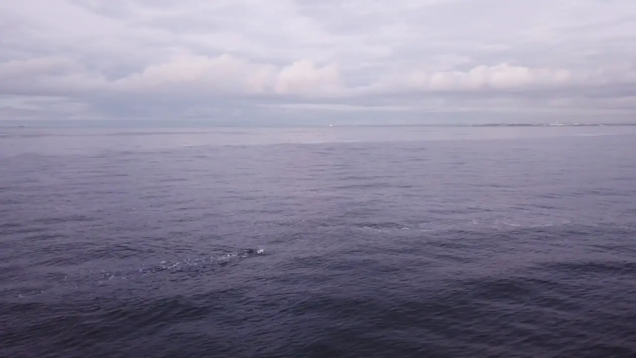 Man Swimming In Ocean Cloudy Day Drone