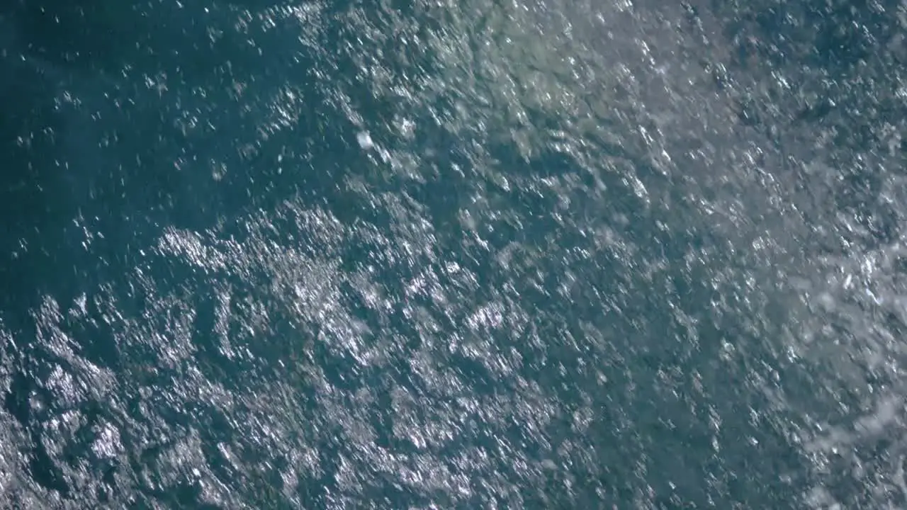 Ultra slow motion shot of dolphin swimming under water in front of boat