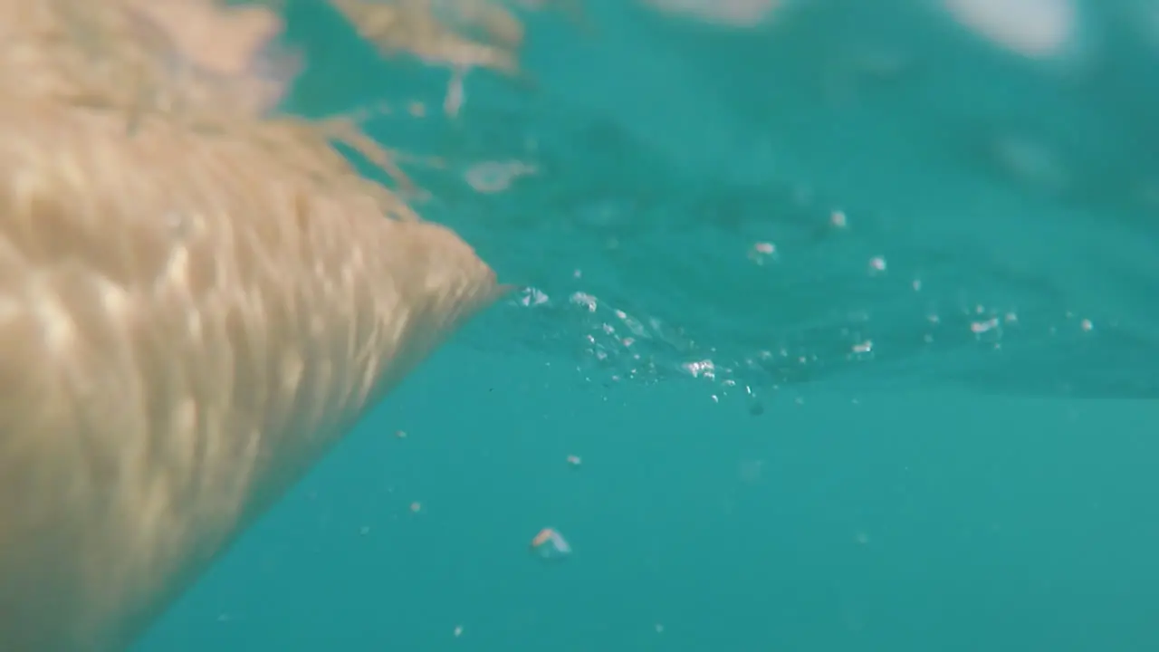 The Hand Of A Man In Need Of Help In The Sea Rescue The Drowning