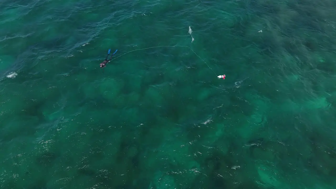 A lone spear fisherman free dives into the