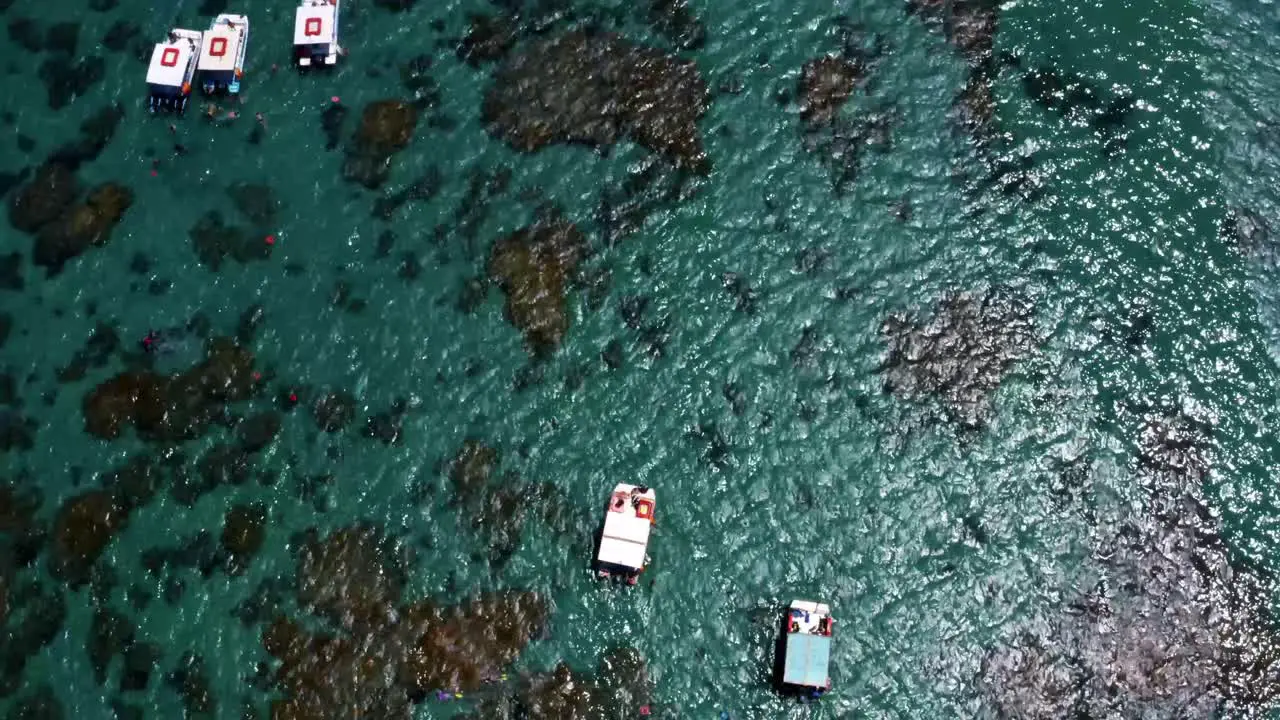 Gorgeous top bird's eye view aerial drone shot of the tropical reef of Maracajau near Natal in northern Brazil