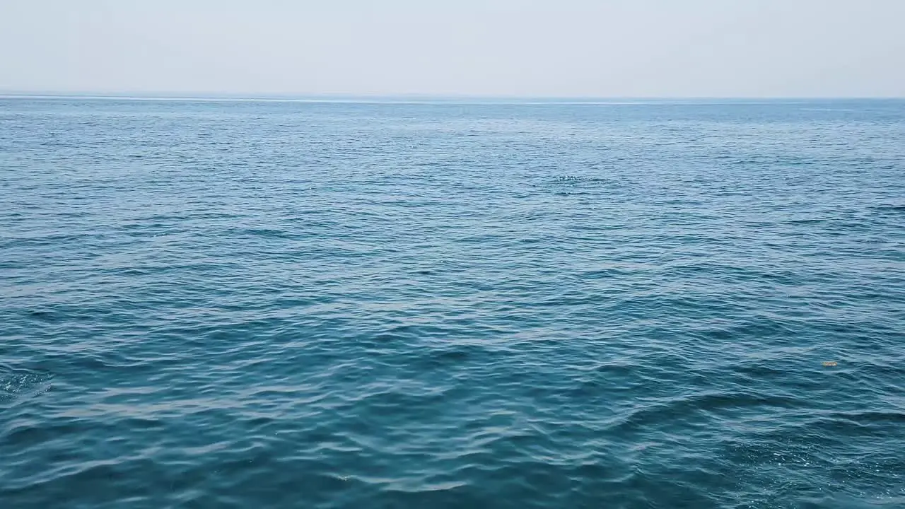 Cruising Across The Ocean With Pod Of Atlantic White-sided Dolphins Arching