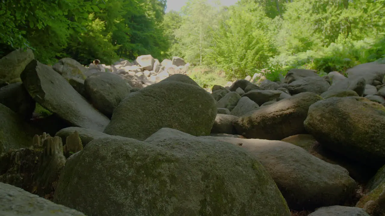 Felsenmeer in Odenwald Sea of rocks close up Wood Nature Tourism