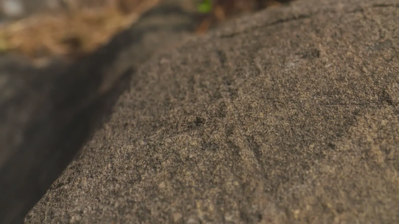 Close up slide along the surface of a large granite boulder