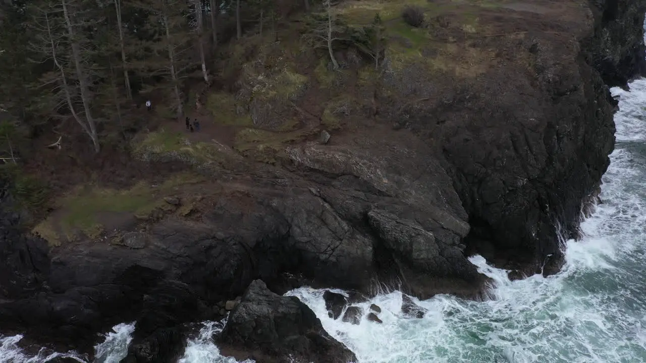 People hiking with a dog through the forest on cliff over rough ocean waters in the pacific northwest