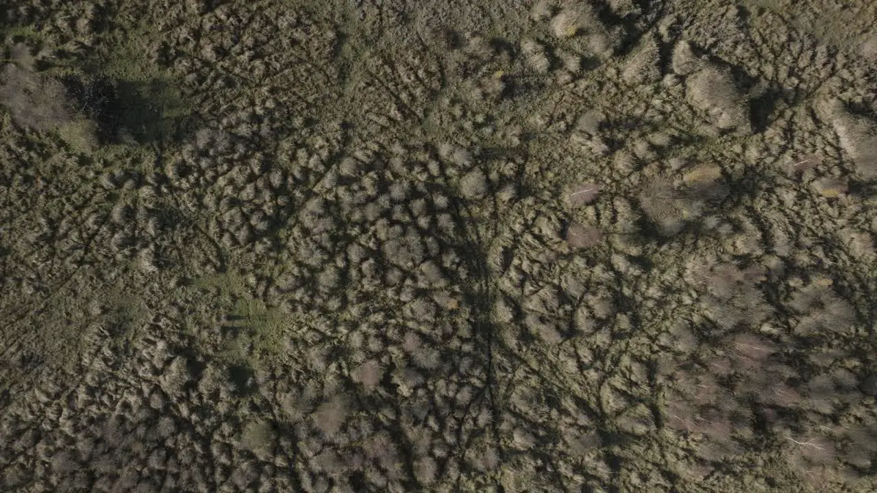 Birds Eye View Aerial Overhead Autumn Pattern Texture Nature Reserve Scrubland