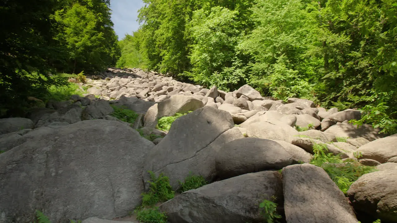 Felsenmeer in Odenwald Sea of rocks Wood Nature Tourism on a sunny day pan shot