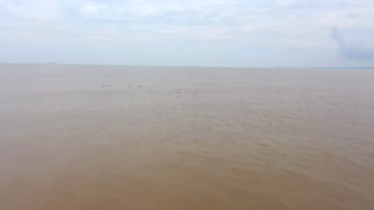 Aerial chasing low flying birds over brown sea water closing shot day